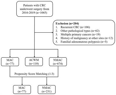 Clinicopathological characteristics and outcomes of colorectal mucinous adenocarcinoma: a retrospective analysis from China